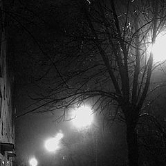 photo "Alone in a night fog..."