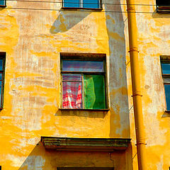 фото "WINDOWS"