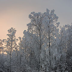 фото "In the first solar beams..."