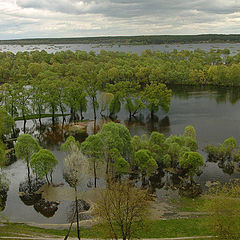 фото "Весенняя Десна."