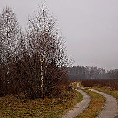 фото "Тропинка.."