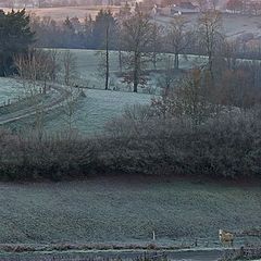 photo "green daybreak"