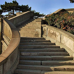 photo "Stairs to garden"