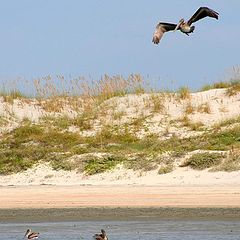 фото "Wild Beach"