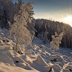 photo "Belaya Mt / 0165_0094"