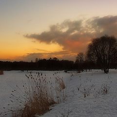 photo "Питерские красоты"