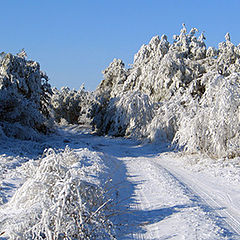 фото "Зимний день"