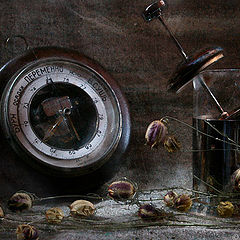 photo "***"