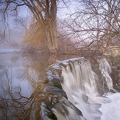 фото "Whitnall Falls"