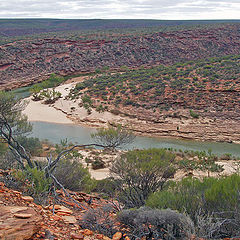 photo "View from the top"