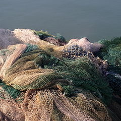 photo "Fishing nets in Jaffa Port"