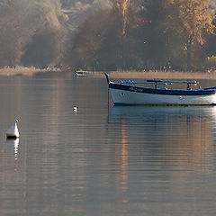 photo "Silence is Golden"