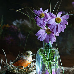 photo "Etude with birdy"
