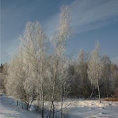 фото "Зимний этюд..(II)"