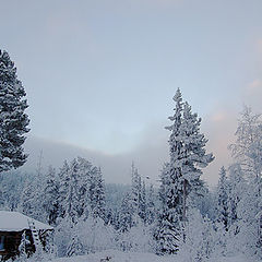 photo "Merry Christmas from Lapland"