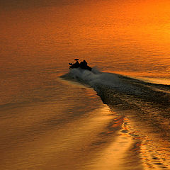 photo "Heading home"