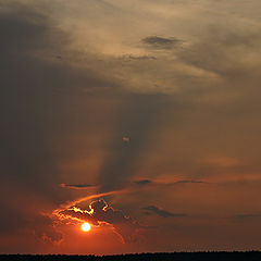 фото "Июльский закат"