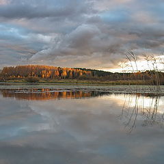 photo "Autumn reflection in water"