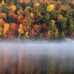 фото "Killarney Park"