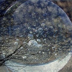 фото "winter sun bubble glass ball"