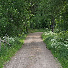 photo "Green road"