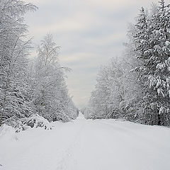 фото "Road to New year..."