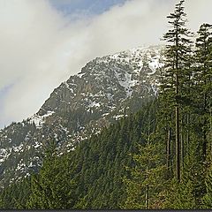 фото "The Road to Hurricane Ridge"