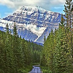 фото "Mt. Edith Cavell"