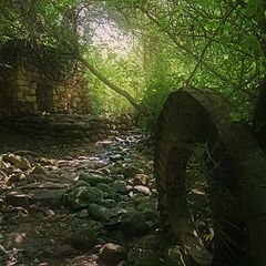 photo "Abandoned milll in the forest"