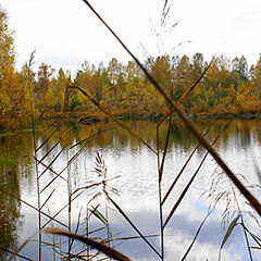 фото "Лесное озерко"