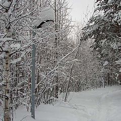 фото "Фонарь"