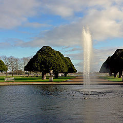 photo "The Pond"