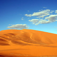 photo "The desert"