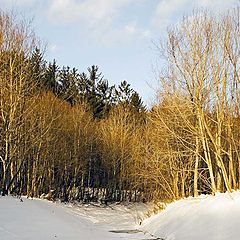 фото "Зимний вечер."