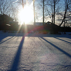 photo "Long shadows 2"