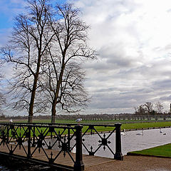 фото "The bridge"