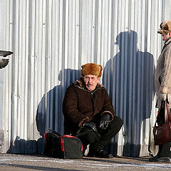 фото "любовь и голуби"