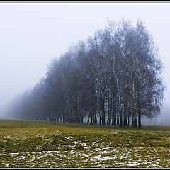 photo "Morning of new year"