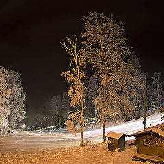фото "курорт снежный"