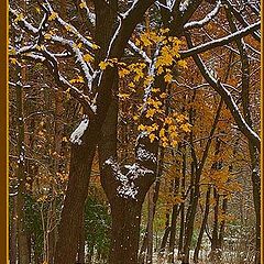 photo "***"