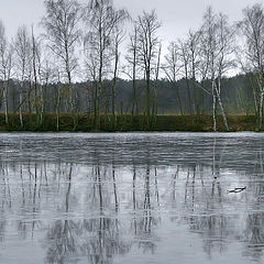 photo "Winter mirror 2007"