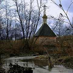 фото "Купель"