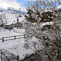 photo "After a snowfall"