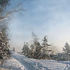 photo "Winter footpath"