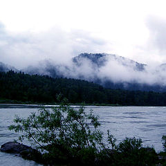 photo "Dark blue fog"