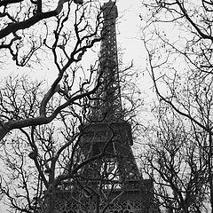 photo "Here a year ago....."