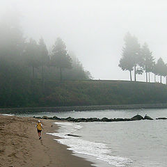 photo "Foggy jogging"