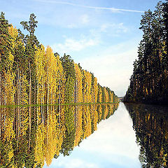 photo "Mirror road"