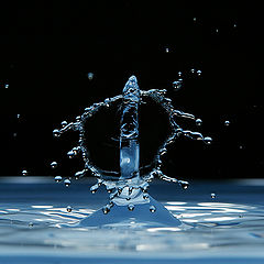 photo "Water splash"