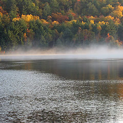 фото "A morning at George Lake"